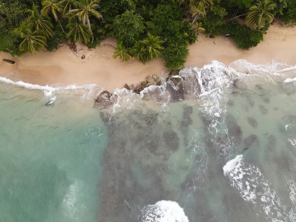Jungle and Caribbean Sea, Costa Rica